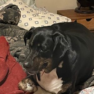 Meet your Posher, Brad